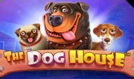 Play The Dog House at Seven